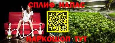 каннабис Краснодар